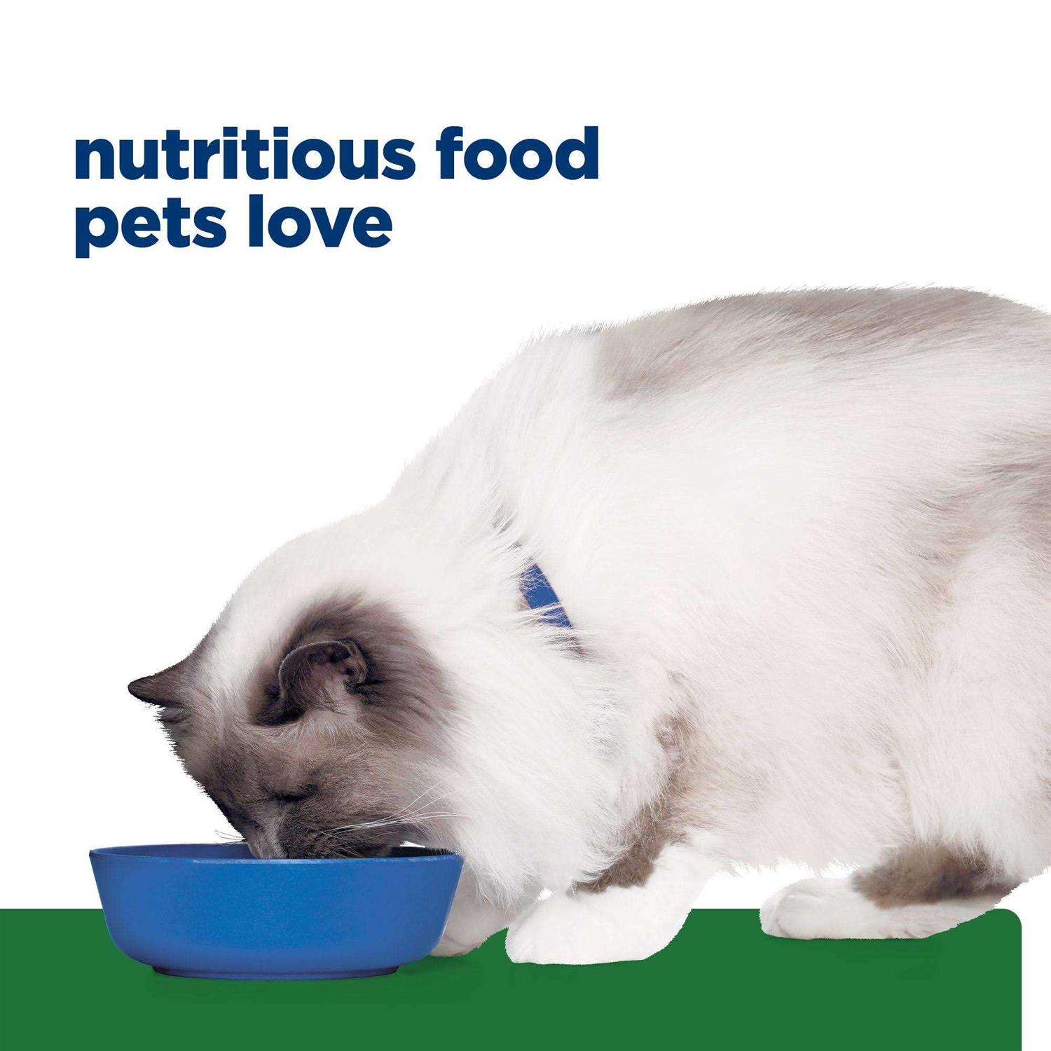 Hill’s Prescription Diet r/d Weight Reduction Chicken Flavor Dry Cat Food - Nail Gallerys