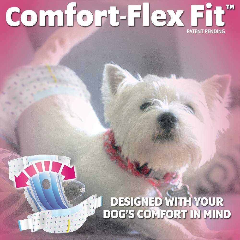 Out! Disposable Female Dog Diapers - Nail Gallerys