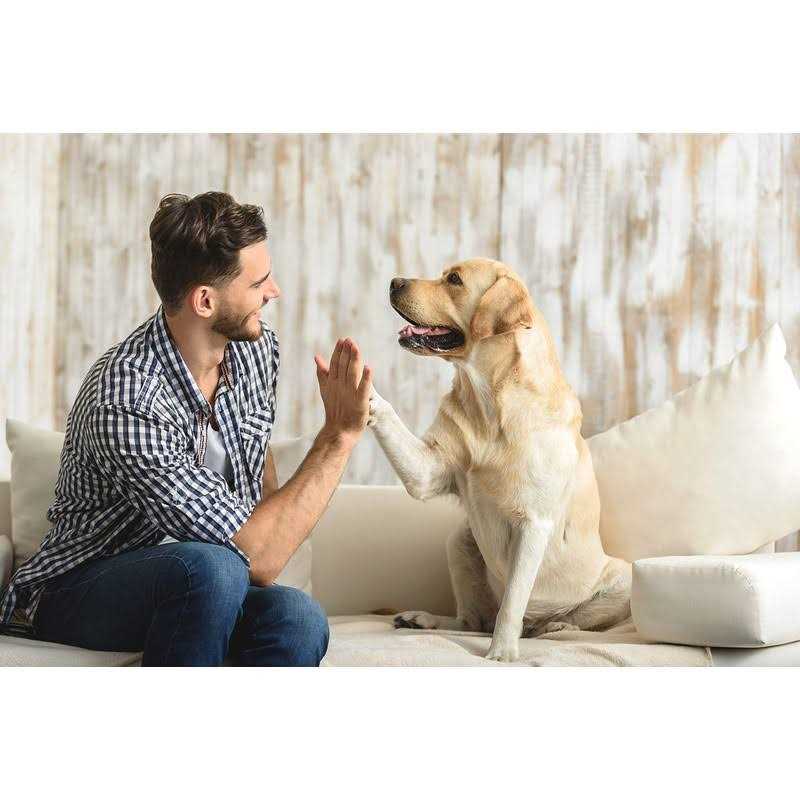 Gotta Go Grass with Tray - Nail Gallerys