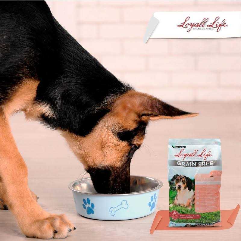 Loyall Life Grain Free Salmon Sweet Potato Dog Food 30 Pounds - Nail Gallerys