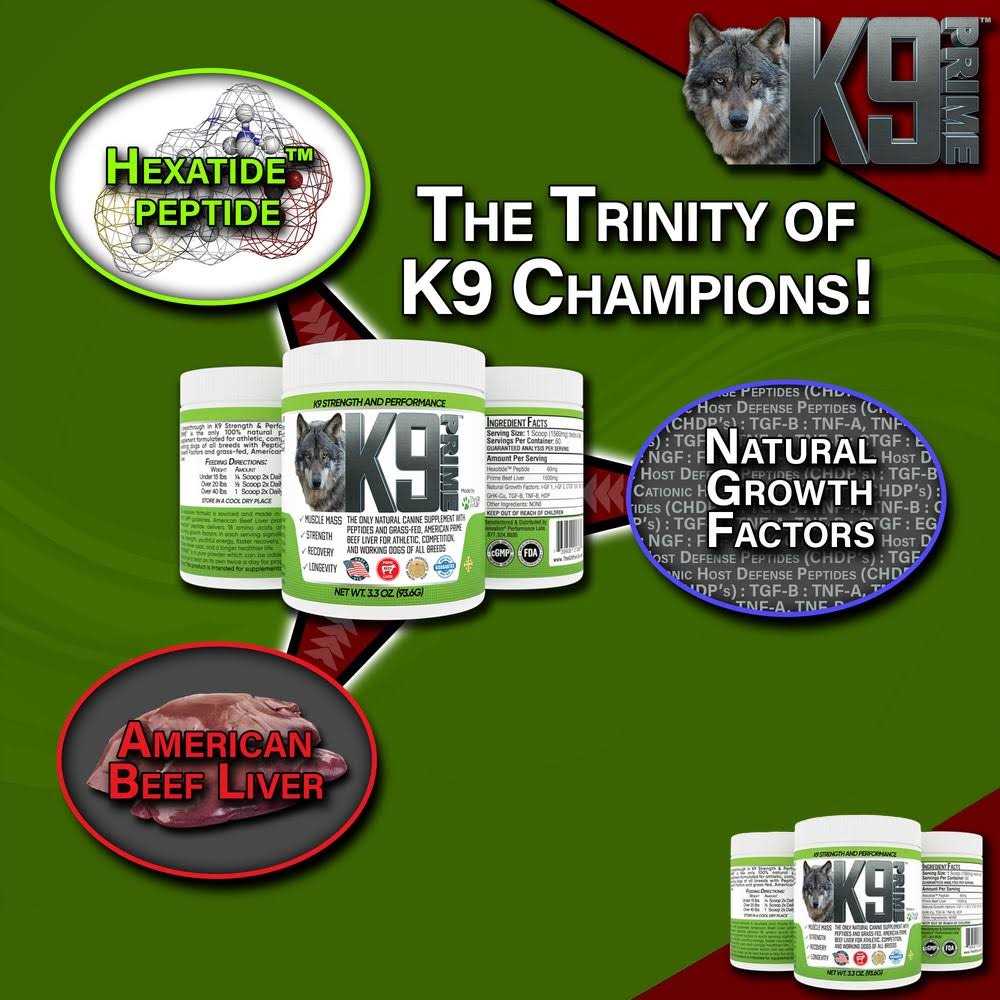 THE GIFT FOR LIFE K9 Prime Elevate Your Dog’s Performance! - Nail Gallerys