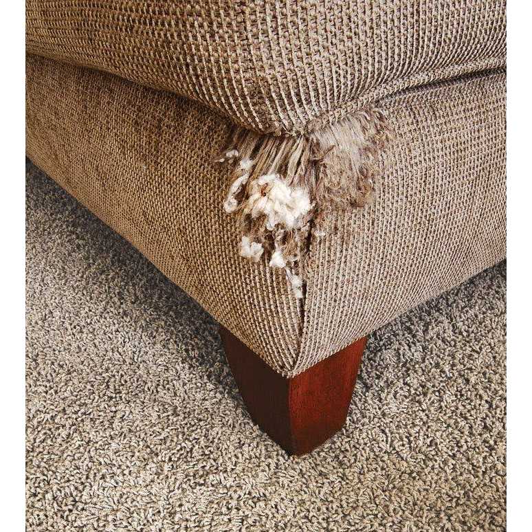 Petlinks Scratch Stop Deterrent Spray - Nail Gallerys