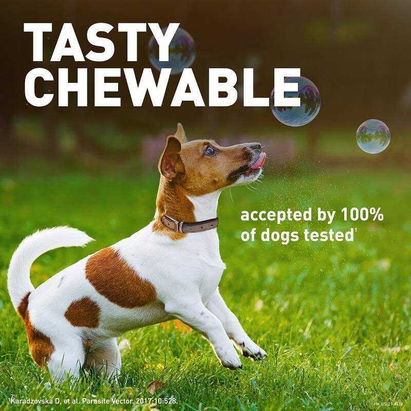 Credelio Chewable Tablet for Dogs - Nail Gallerys