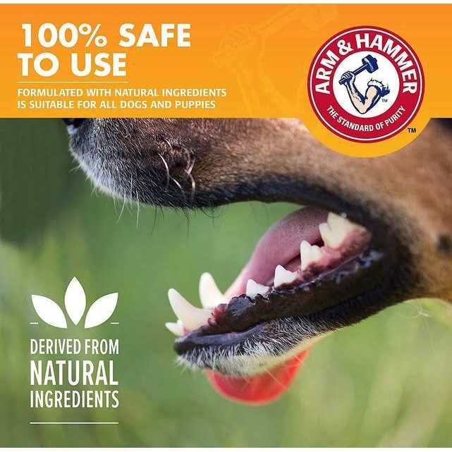 Arm & Hammer Fresh Breath Dental Kit for Dogs - Nail Gallerys