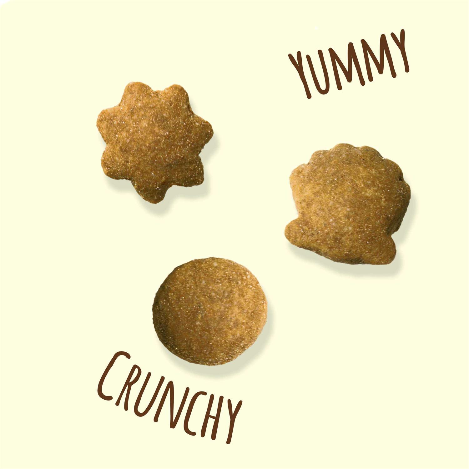 Friskies Party Mix Natural Yums With Real Tuna Cat Treats - Nail Gallerys