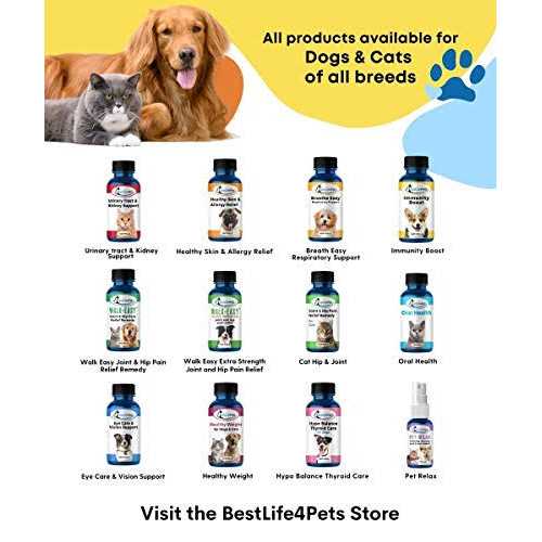 Bestlife4pets All-Natural Healthy Skin and Allergy Relief For Cats - Nail Gallerys
