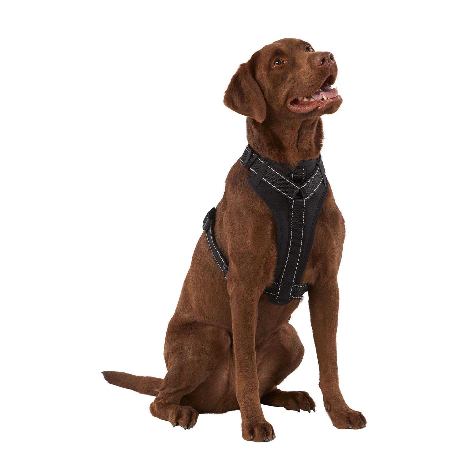 KONG MAX Neoprene Padded Dog Harness - Nail Gallerys