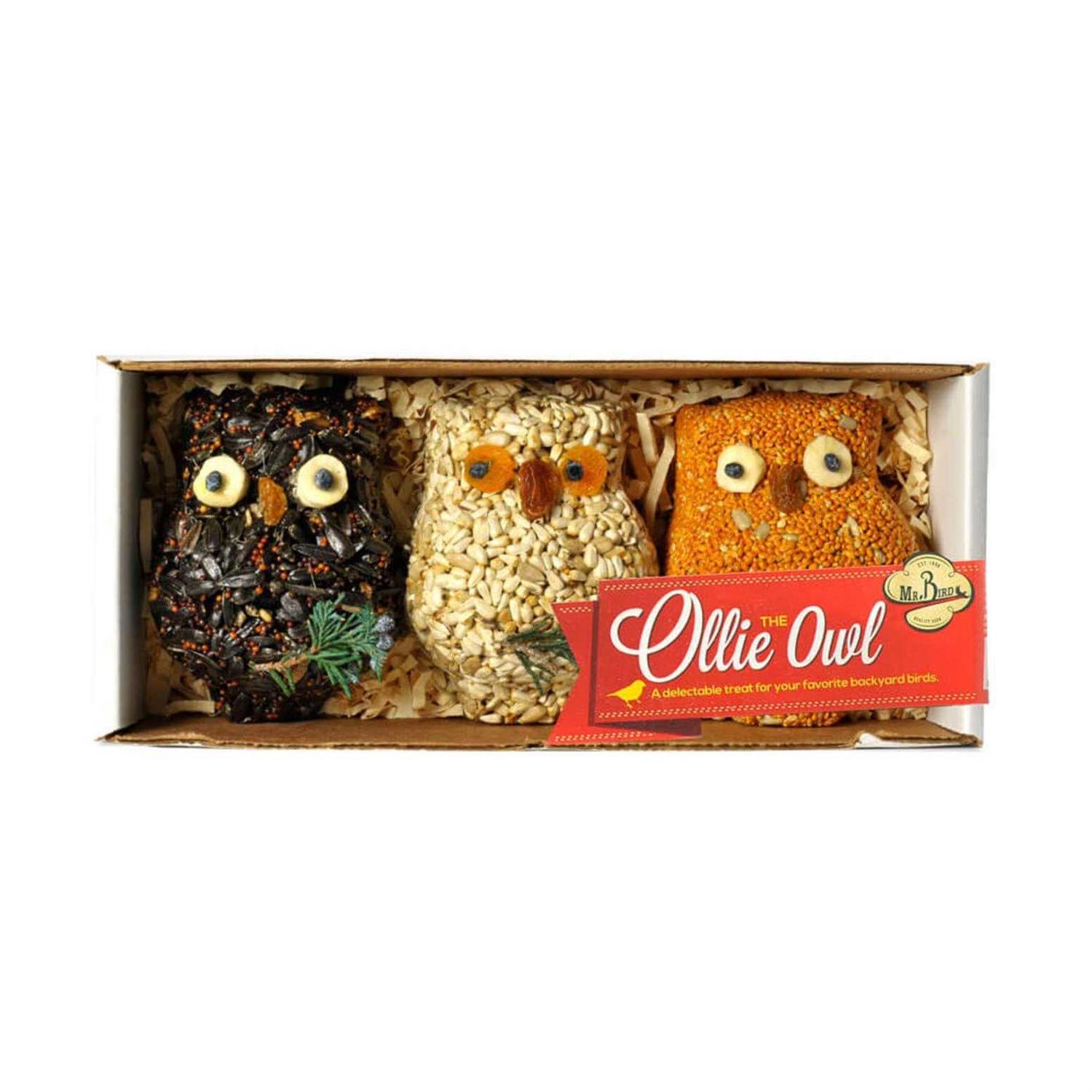 Mr. Bird Ollie Owl Bird Seed Ornaments - Nail Gallerys
