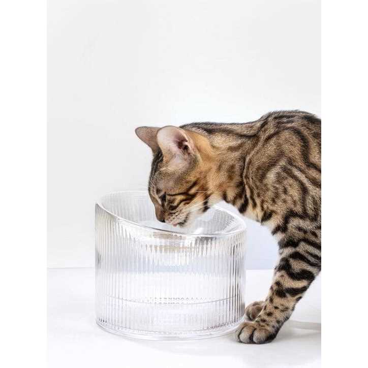 Fooddict Handmade Glass Cat Bowl - Nail Gallerys