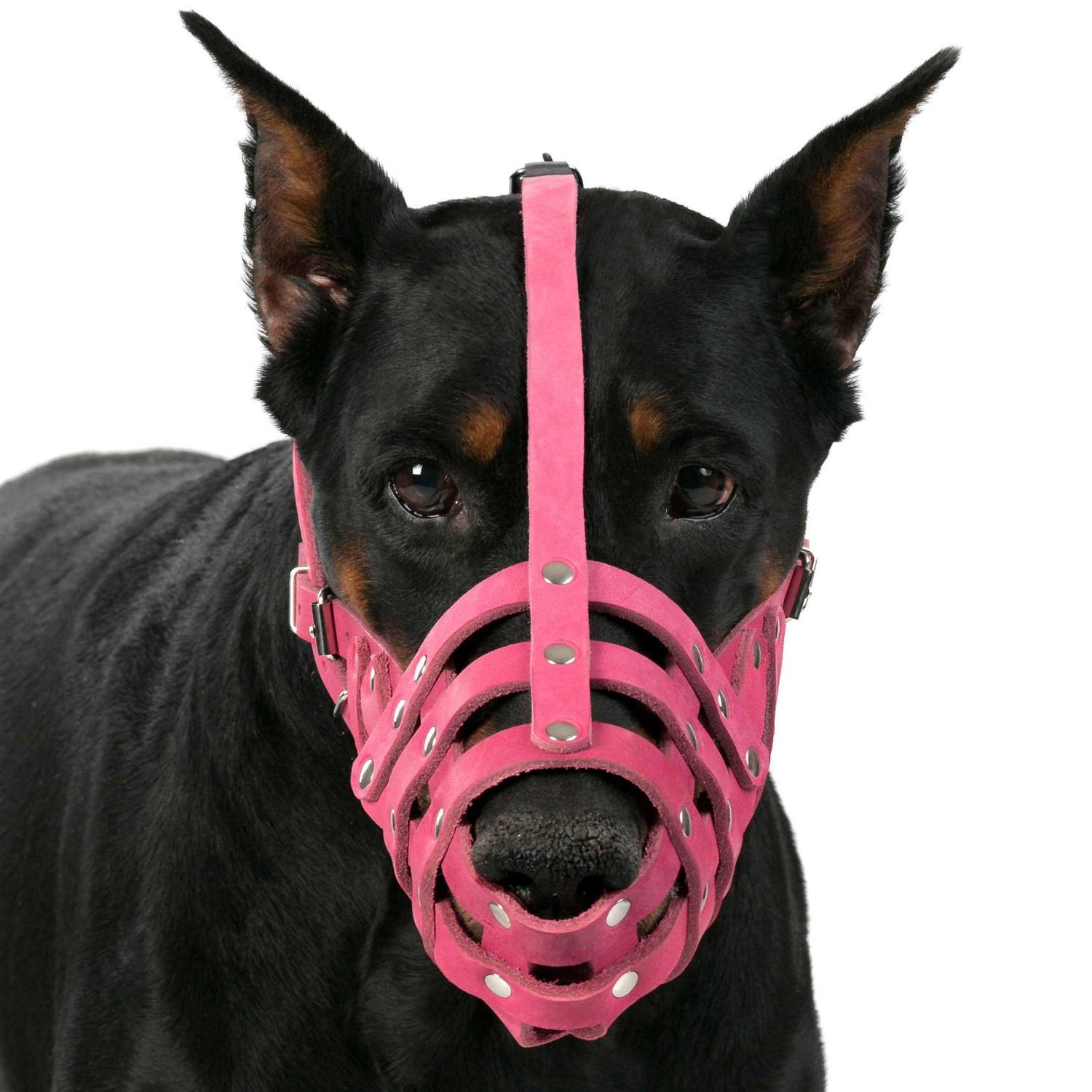 CollarDirect Dog Muzzle German Shepherd Dalmatian Doberman Setter Leather Basket Medium Large Breeds - Nail Gallerys