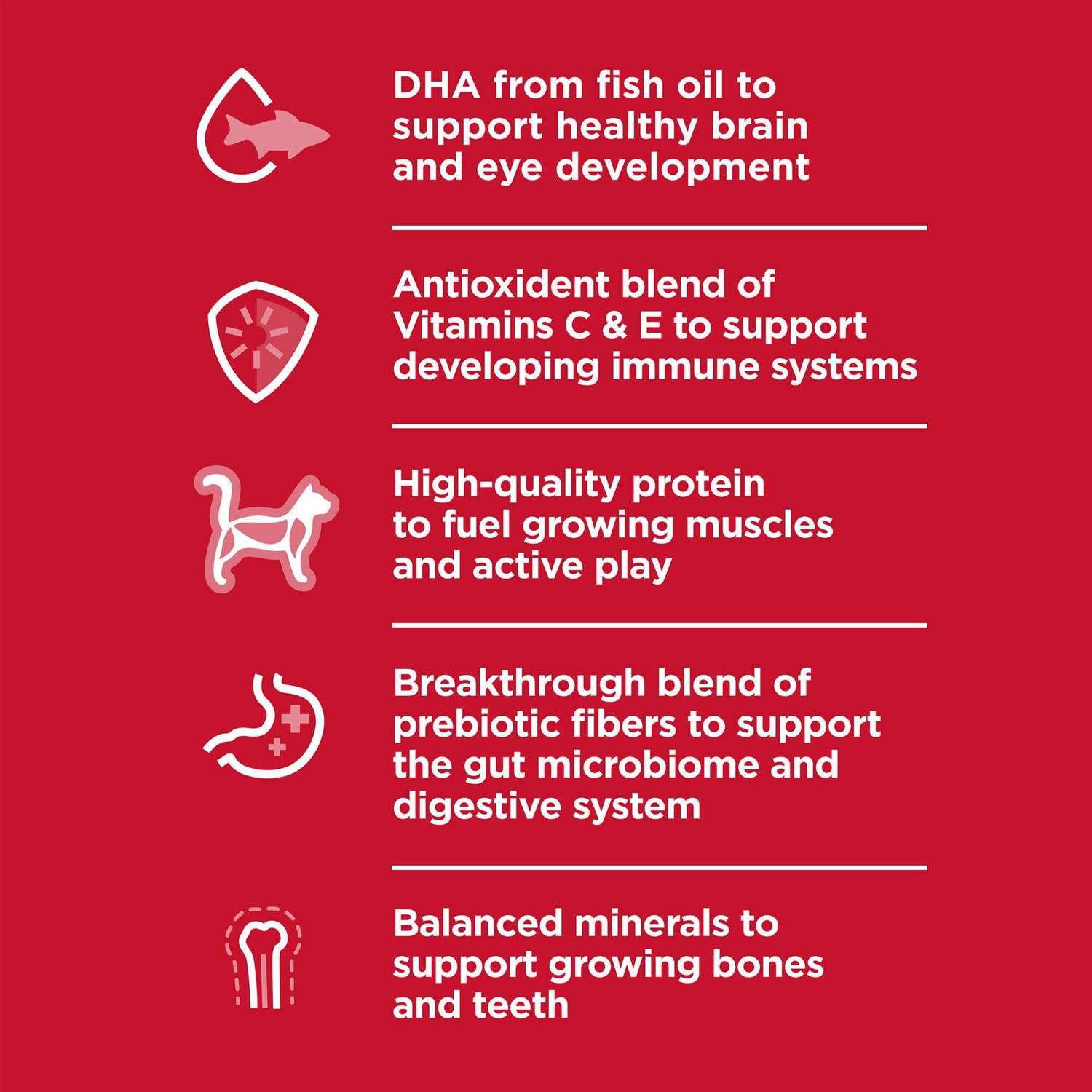 Hill’s Science Diet Indoor Kitten Dry Cat Food - Nail Gallerys