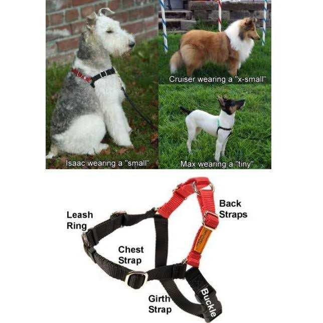 Wonder Walker Body Halter Dog Harness - Nail Gallerys