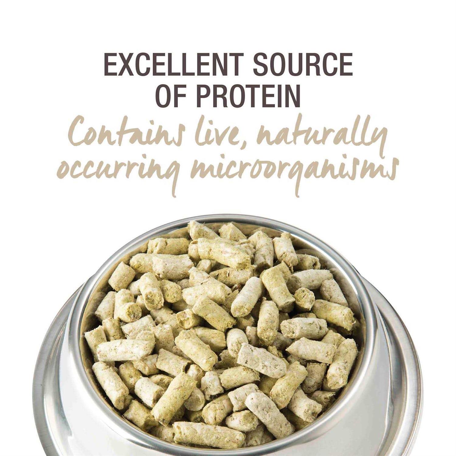 K9 Natural Beef Green Tripe Freeze-Dried Booster - Nail Gallerys