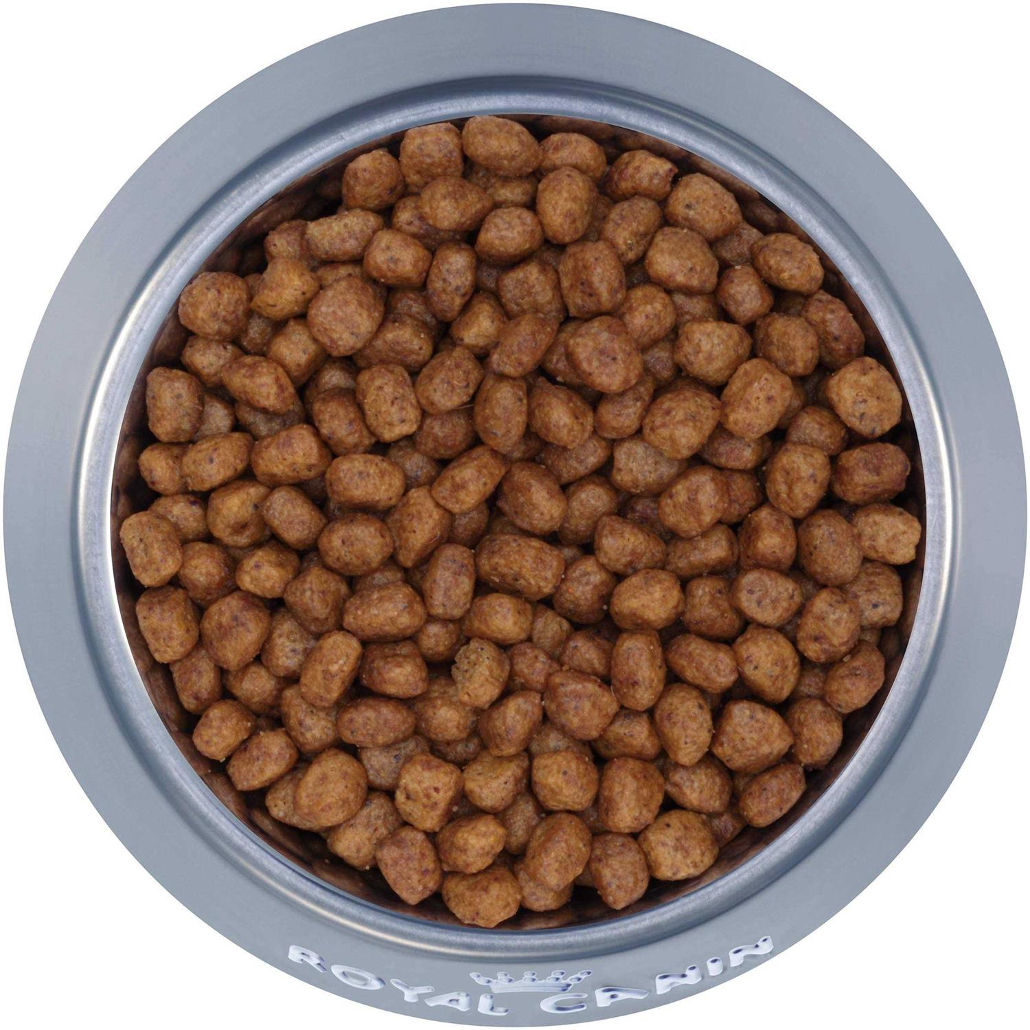 Royal Canin Breed Health Nutrition Chihuahua Adult Dry Dog Food - Nail Gallerys