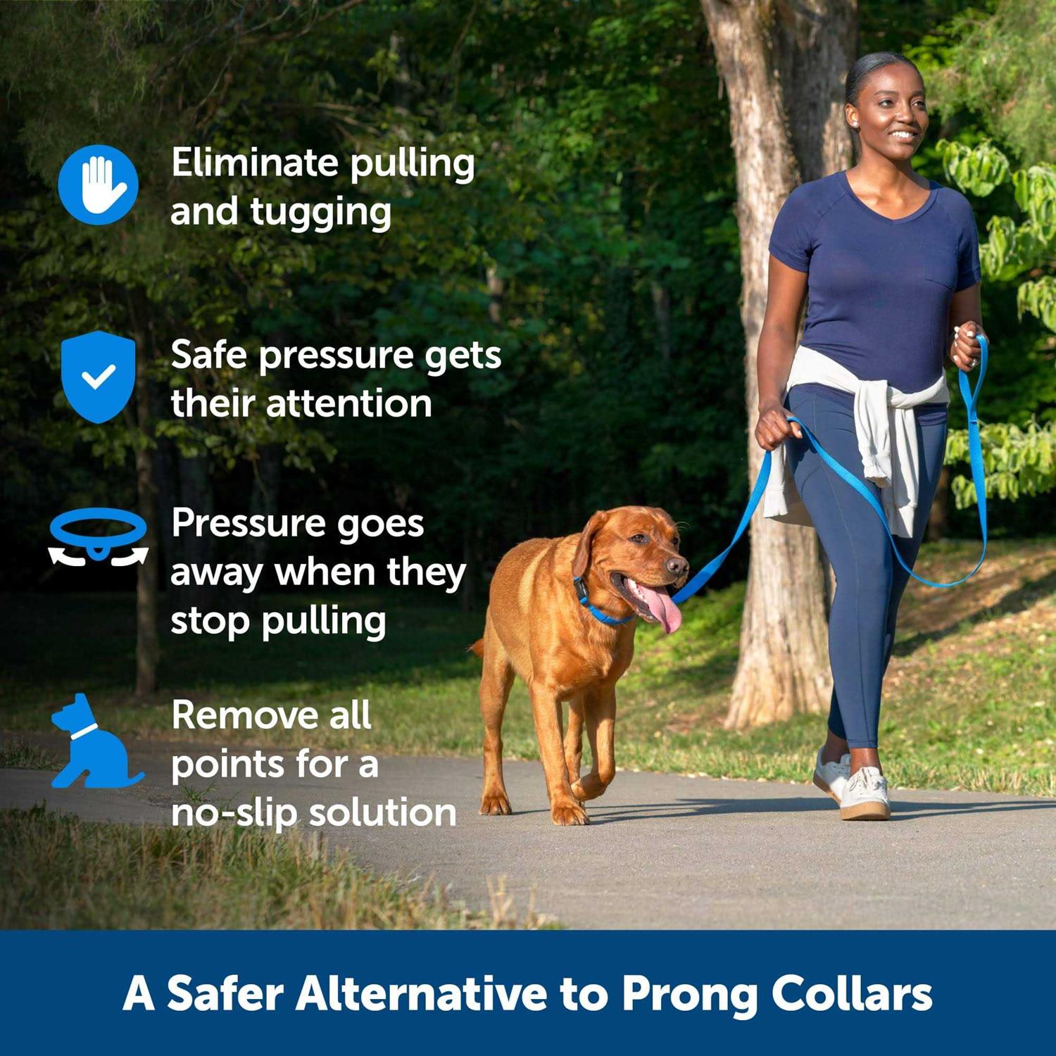 PetSafe Soft Point Training Collar - Nail Gallerys