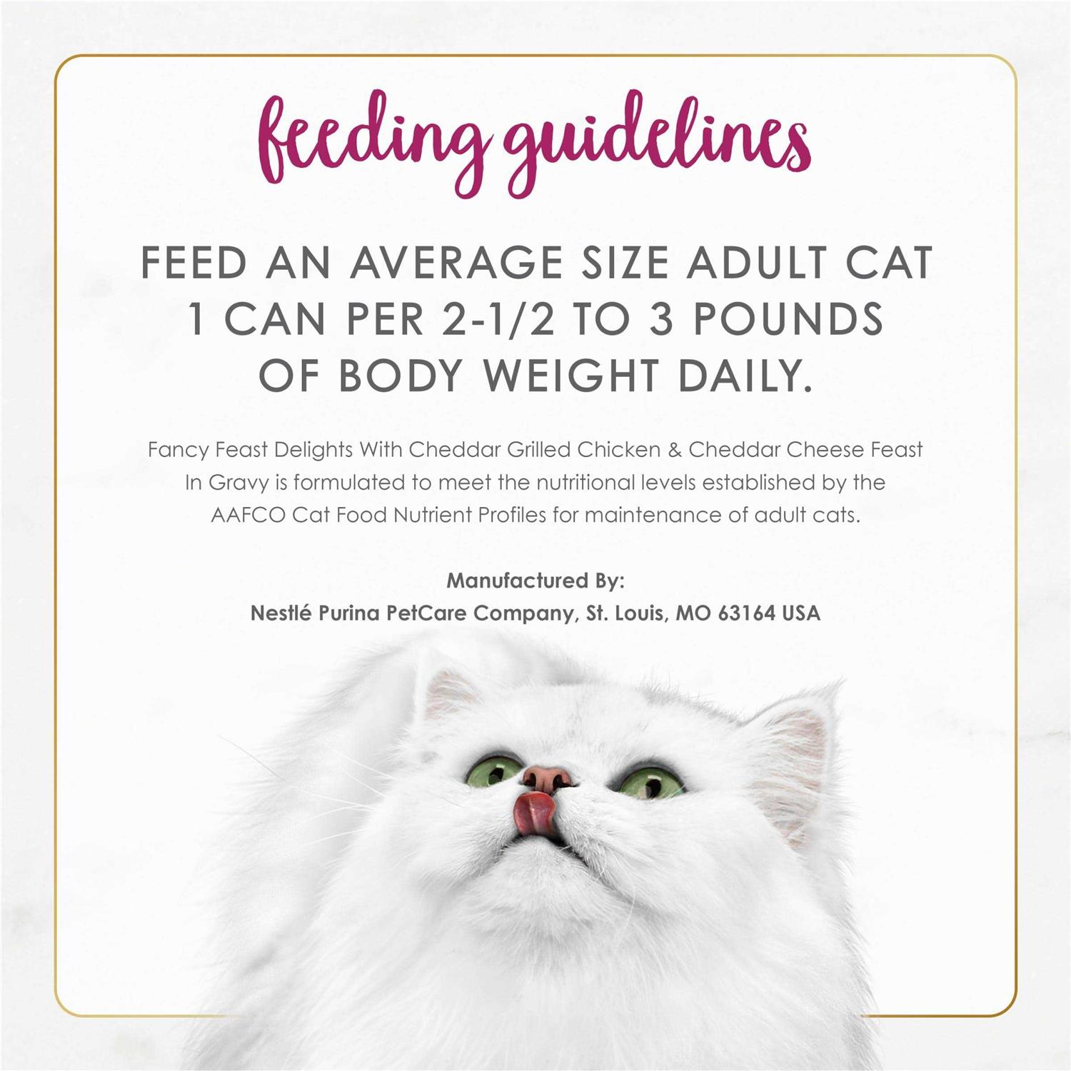 Fancy Feast Gravy Delights Grilled Cheddar Cheese Wet Cat Food - Nail Gallerys