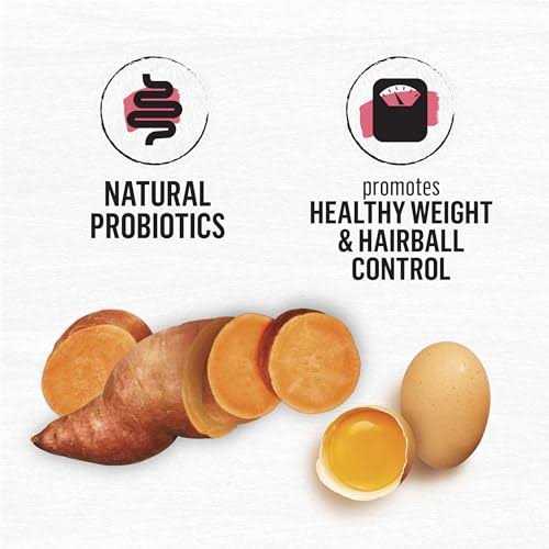 Purina Beyond Grain Free Natural Dry Cat Food Simply Indoor Salmon - Nail Gallerys