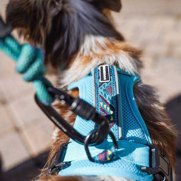Wilderdog Harness - Nail Gallerys
