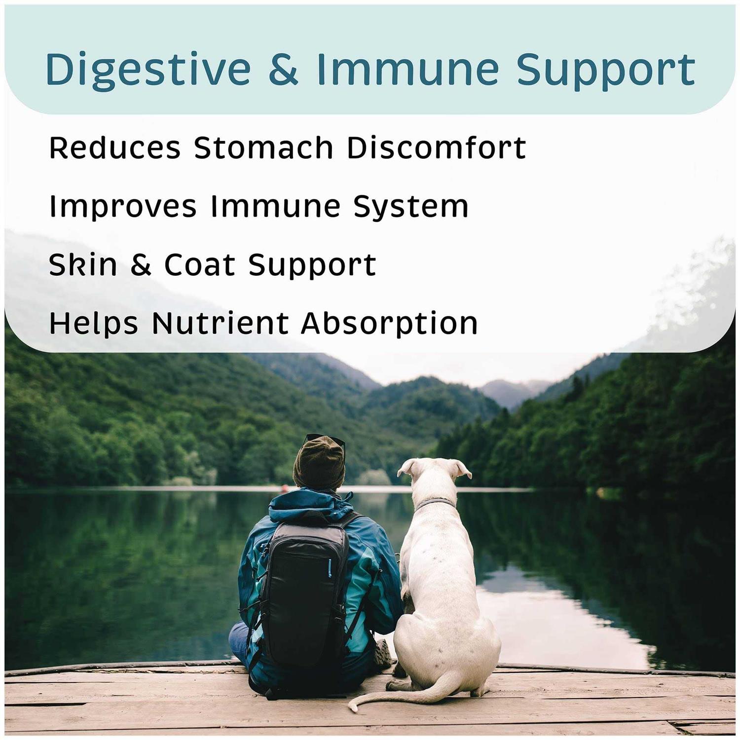 VetOne Advita Probiotic Nutritional Supplement for Dogs - Nail Gallerys