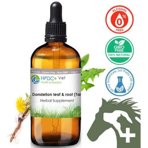 Pet Wellbeing -Dandelion Root for Cat Liver and Digestive Support - Nail Gallerys