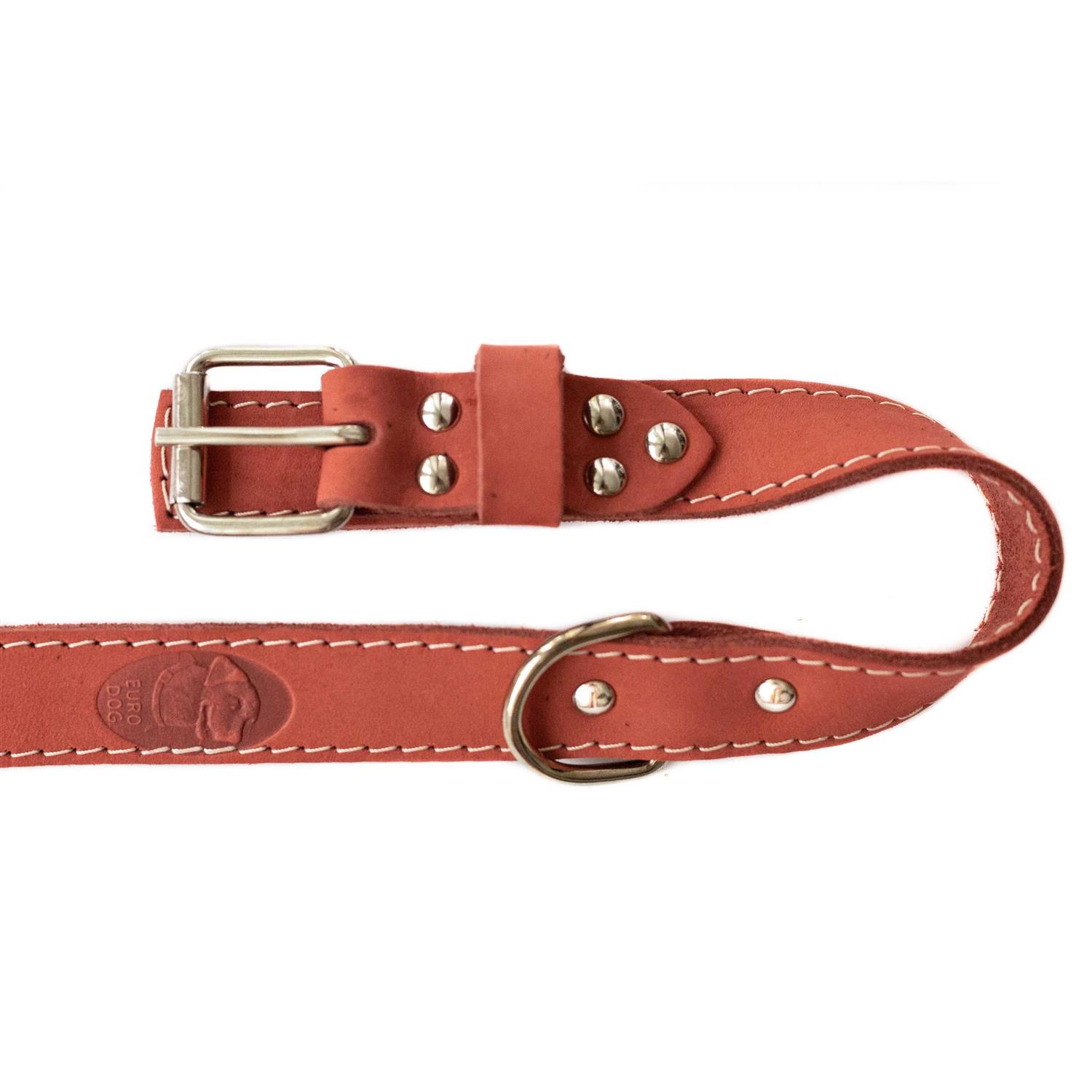 Euro-Dog Luxury Soft Leather Collar - Nail Gallerys