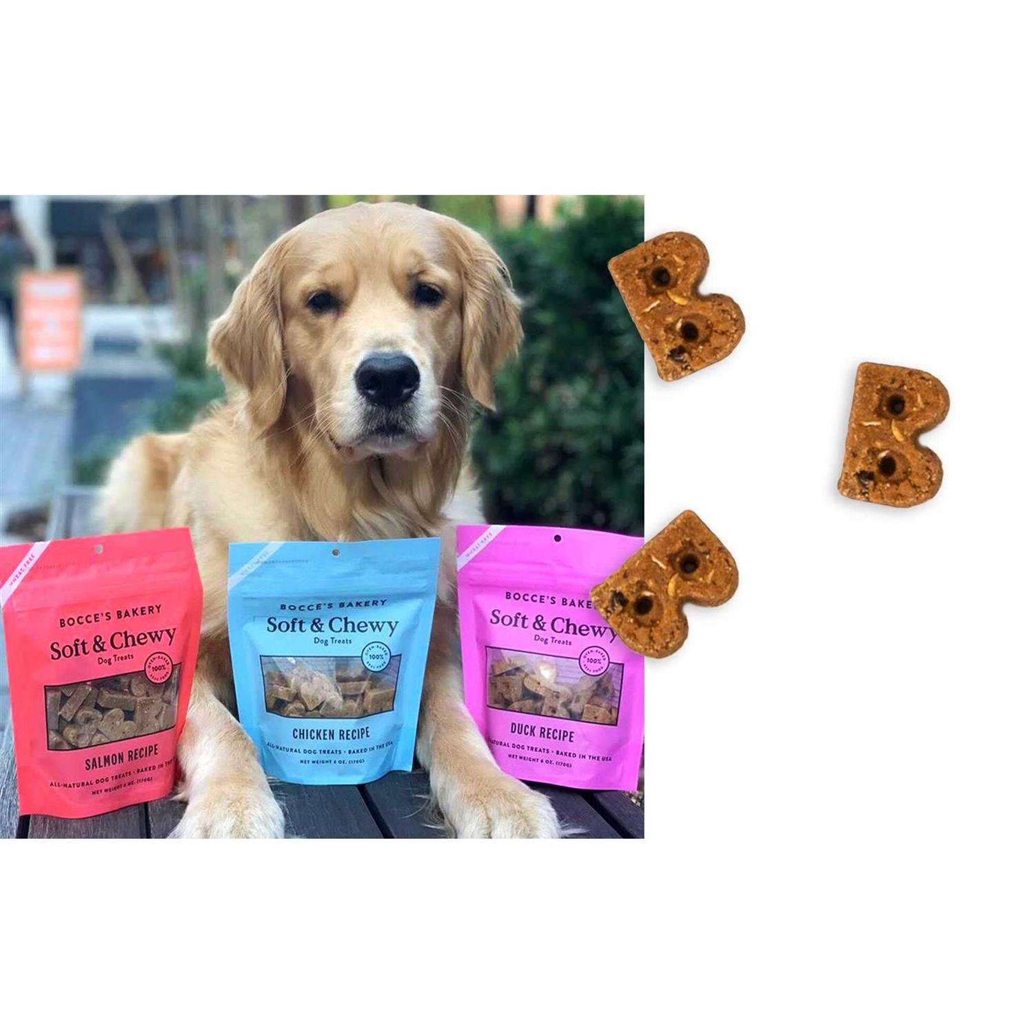 Bocce’s Bakery Soft & Chewy Peanut Butter & Banana Dog Treats - Nail Gallerys