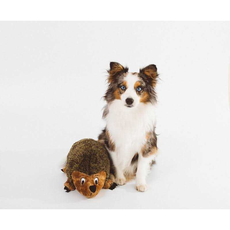 Outward Hound Hedgehogz Plush Dog Toy - Nail Gallerys