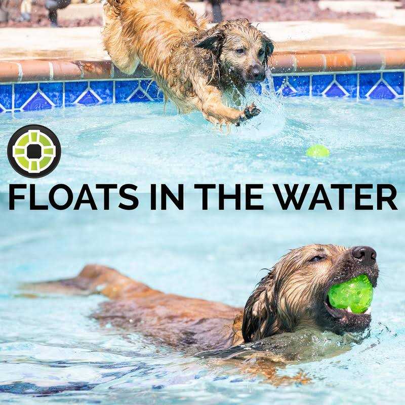 Hyper Pet Dura-Squeaks Dog Toy Ball - Nail Gallerys