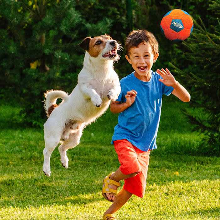 Nerf X-Weave Soccer Squeak Ball Dog Toy - Nail Gallerys