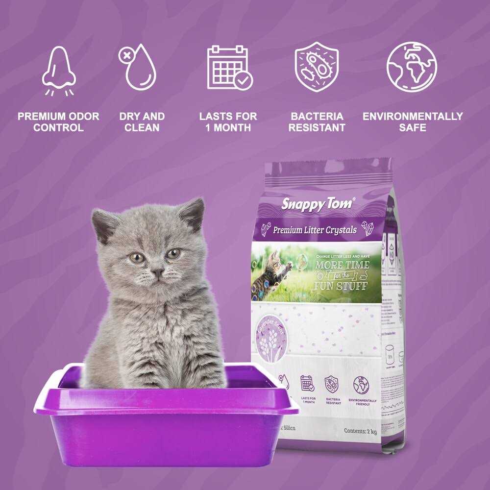 Snappy Tom Crystal Cat Litter - Nail Gallerys