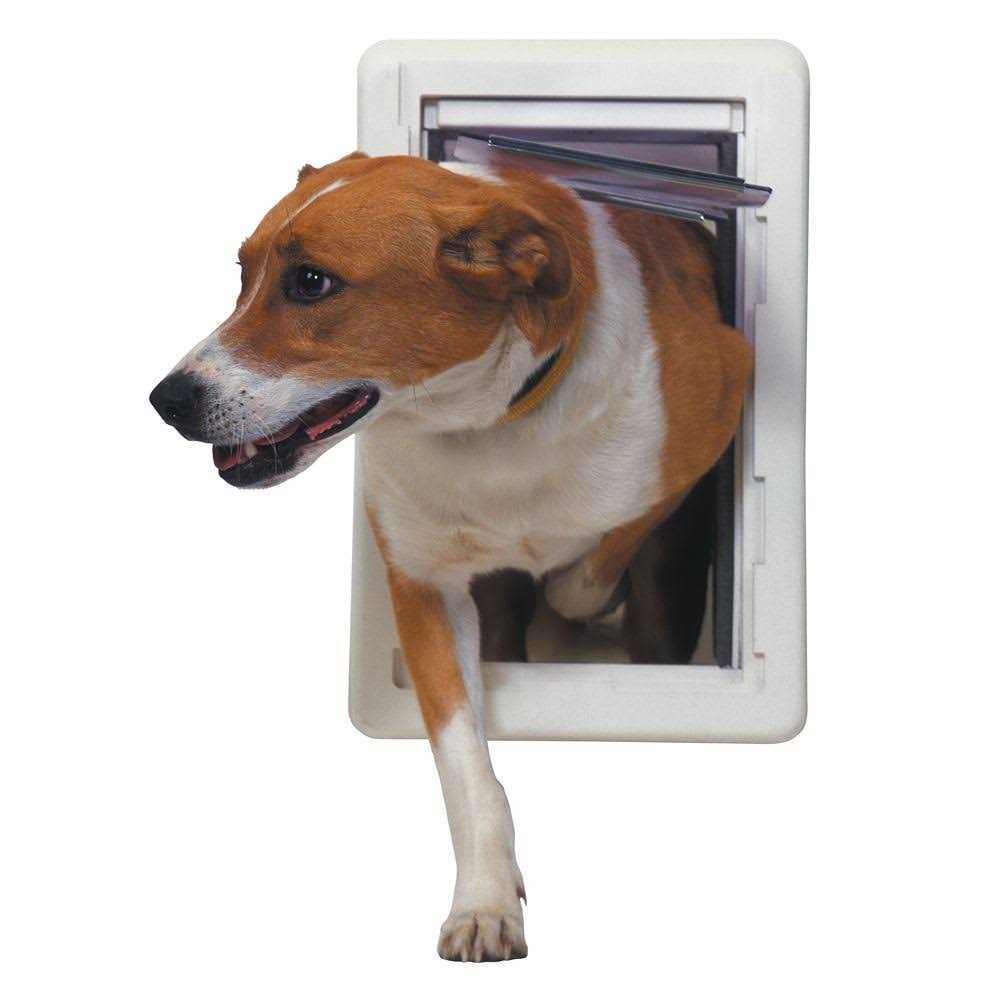 Perfect Pet All Weather Pet Door - Nail Gallerys