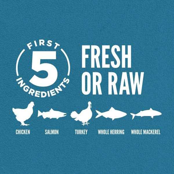 Orijen Guardian 8 Dry Cat Food - Nail Gallerys