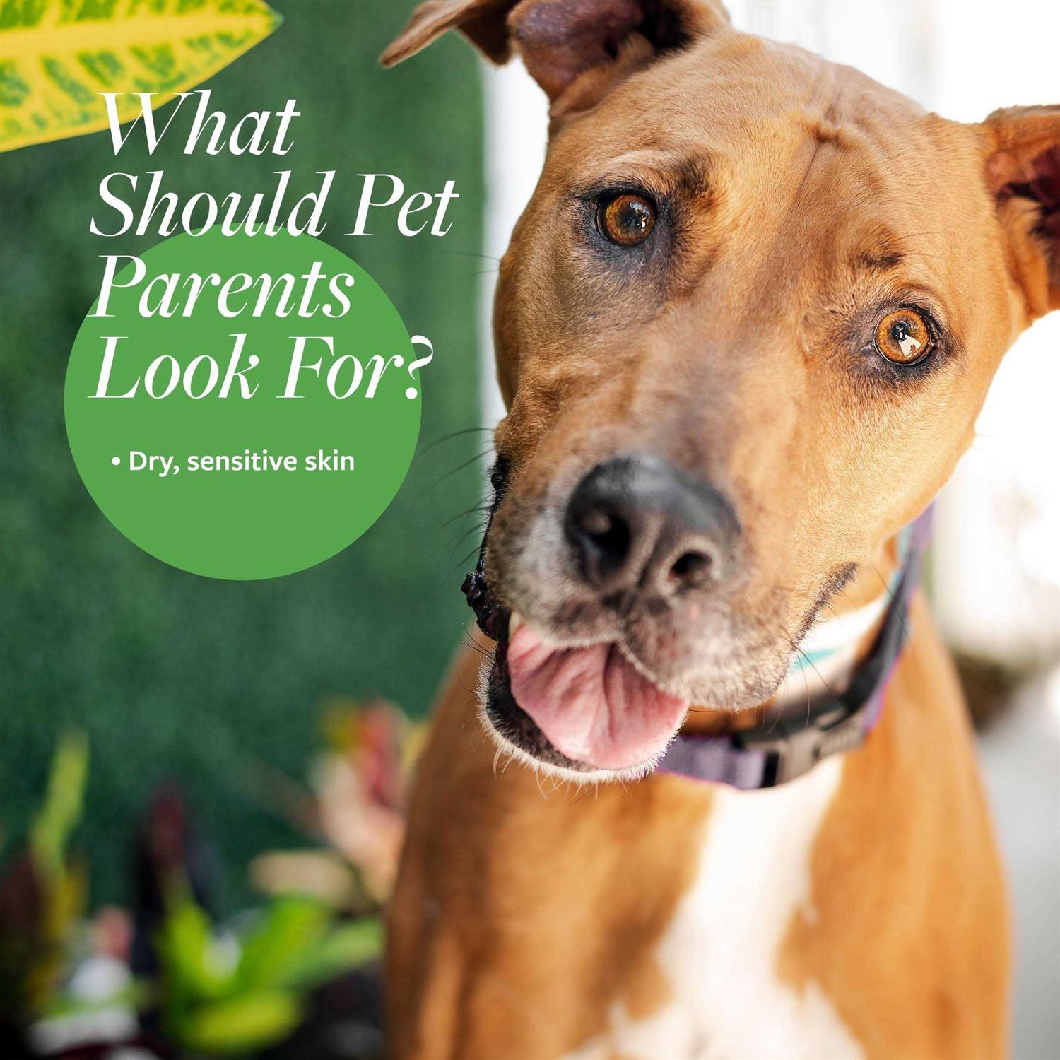 Veterinary Formula Clinical Care Hypoallergenic Shampoo - Nail Gallerys