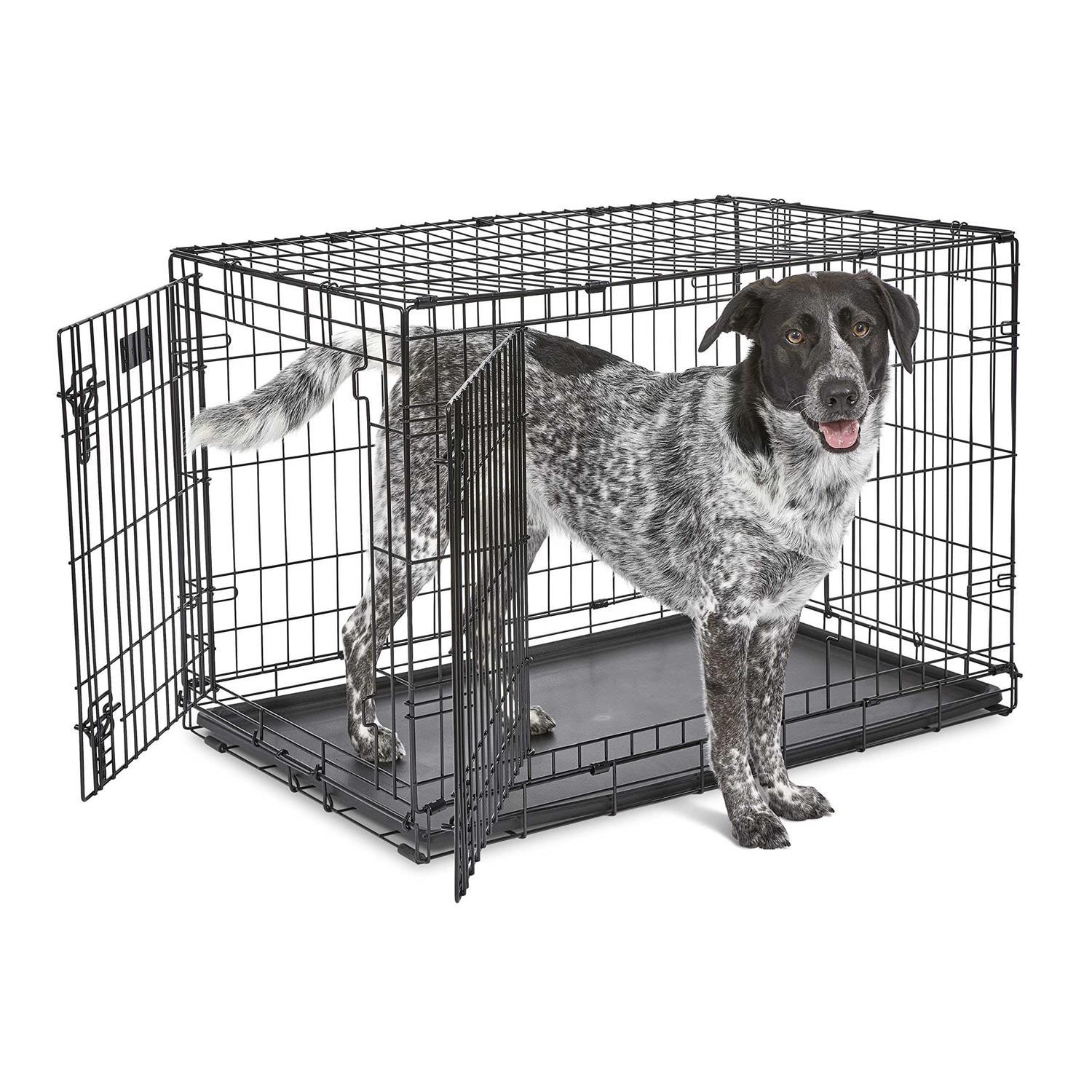MidWest iCrate Double Door Fold Carry Dog Crate - Nail Gallerys