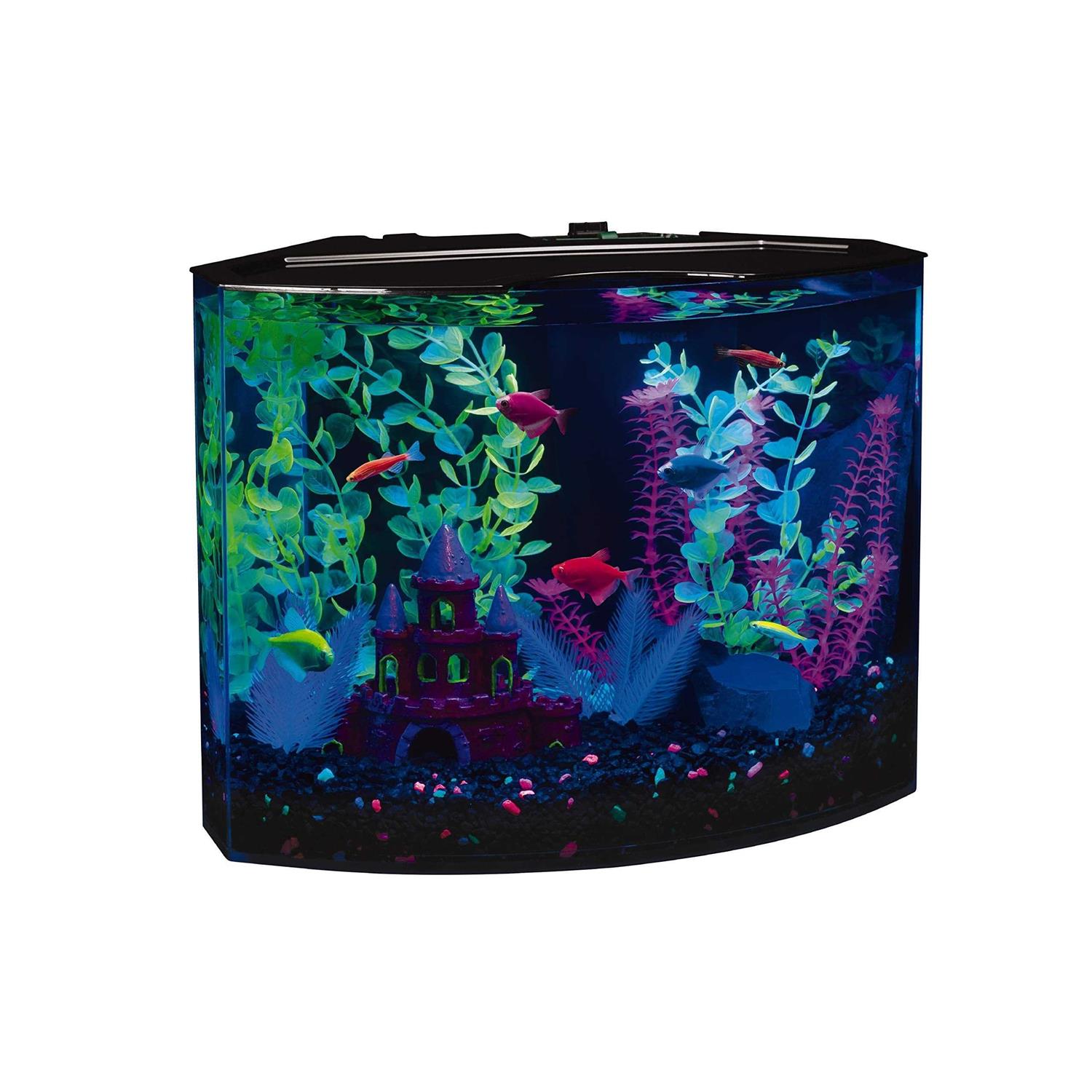 Glofish Aquarium Fish Tank Kits, Includes Fish Tank Decorations And Led Lighting, Tetra Filter And Water Conditioner 5-gallon crescent kit - Nail Gallerys