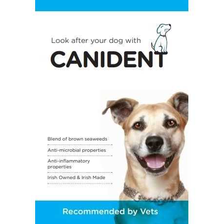 Canident Clean Dogs Teeth, Fix Bad Breath and Remove Plaque - Nail Gallerys