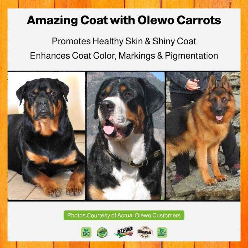 Olewo Original Carrots for Dogs Fiber for Dog Stool Hardener Dog Food Toppers for Picky Eaters - Nail Gallerys