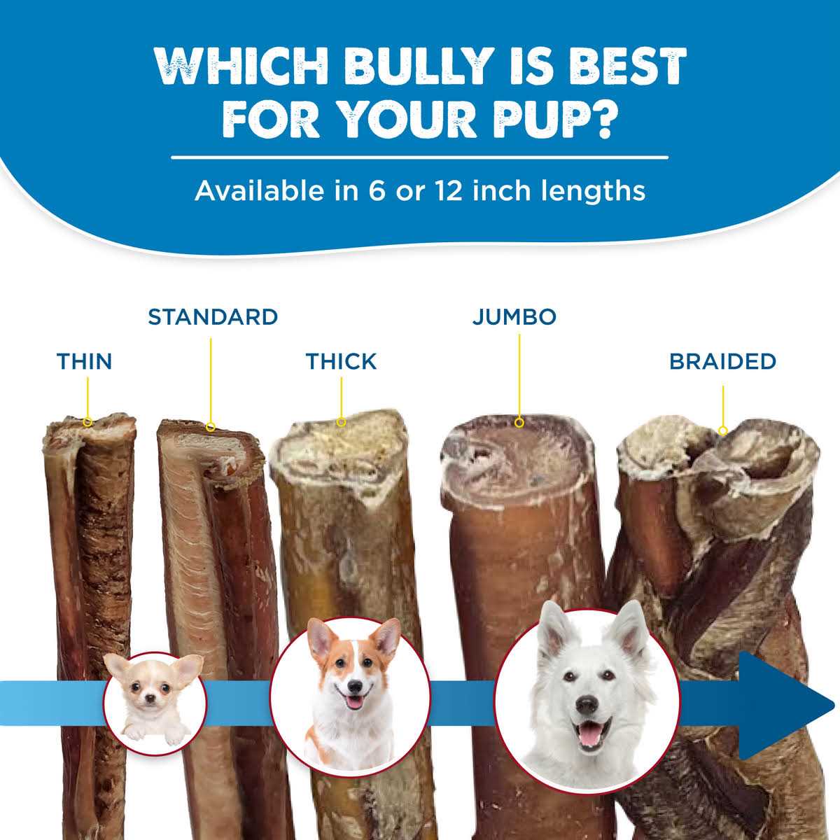 Best Bully Sticks All-Natural Bully Sticks for Dogs - Nail Gallerys