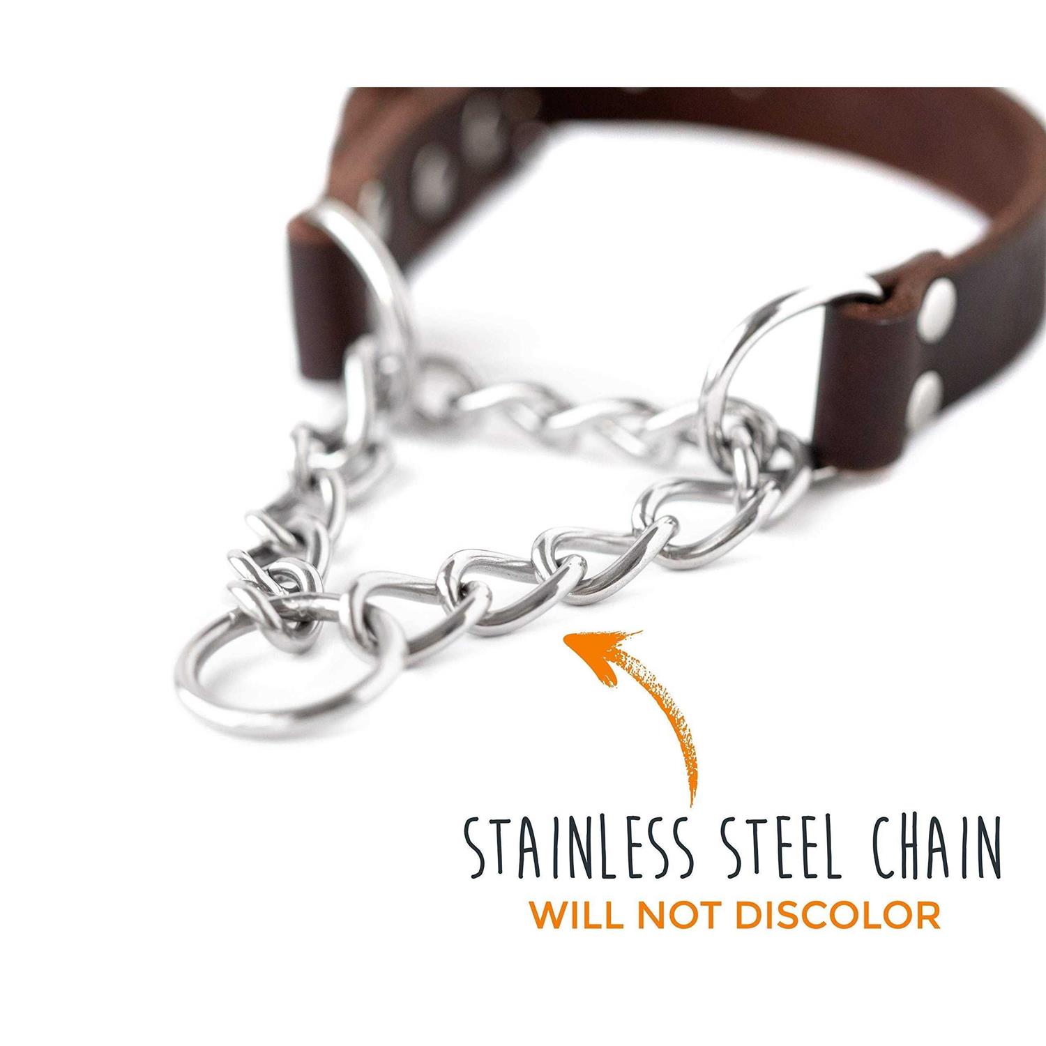 Mighty Paw Leather Collar Martingale Collar - Nail Gallerys