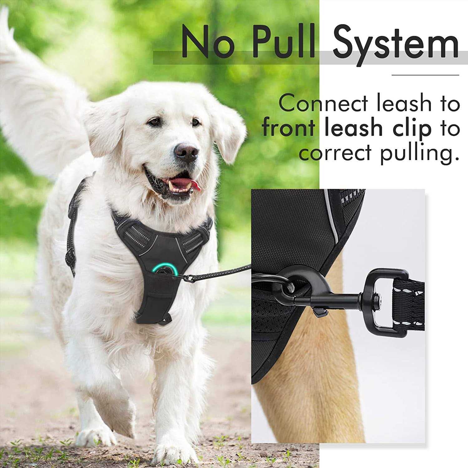 rabbitgoo Dog Harness No Pull Pet Harness with 2 Leash Clips Adjustable Soft Padded Dog Vest - Nail Gallerys