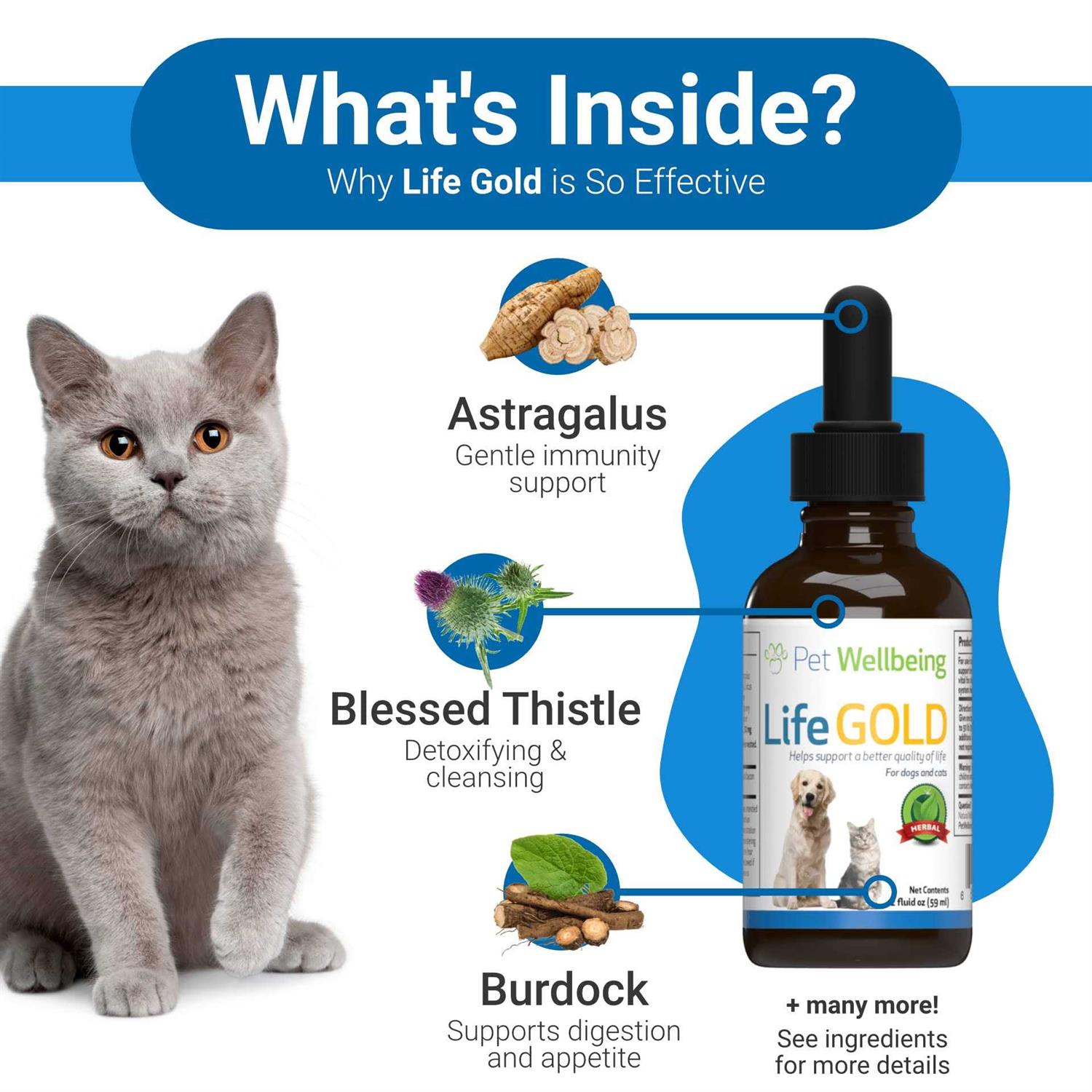 Pet Wellbeing Life Gold for Dogs - Nail Gallerys