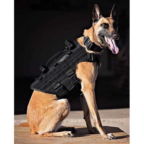 Icon Harness - Nail Gallerys