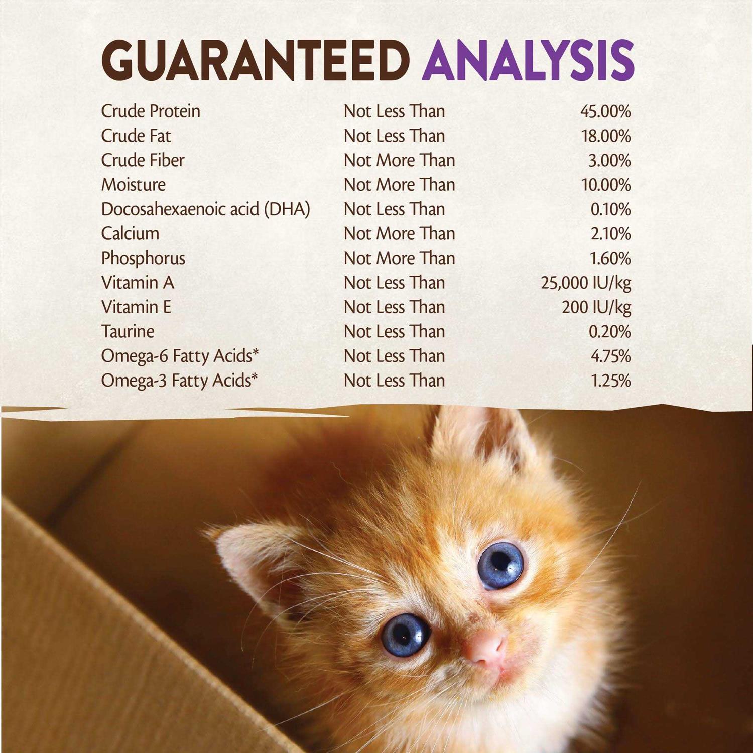 Wellness CORE Grain-Free Kitten Formula Dry Cat Food, Turkey, Whitefish and Chicken - Nail Gallerys