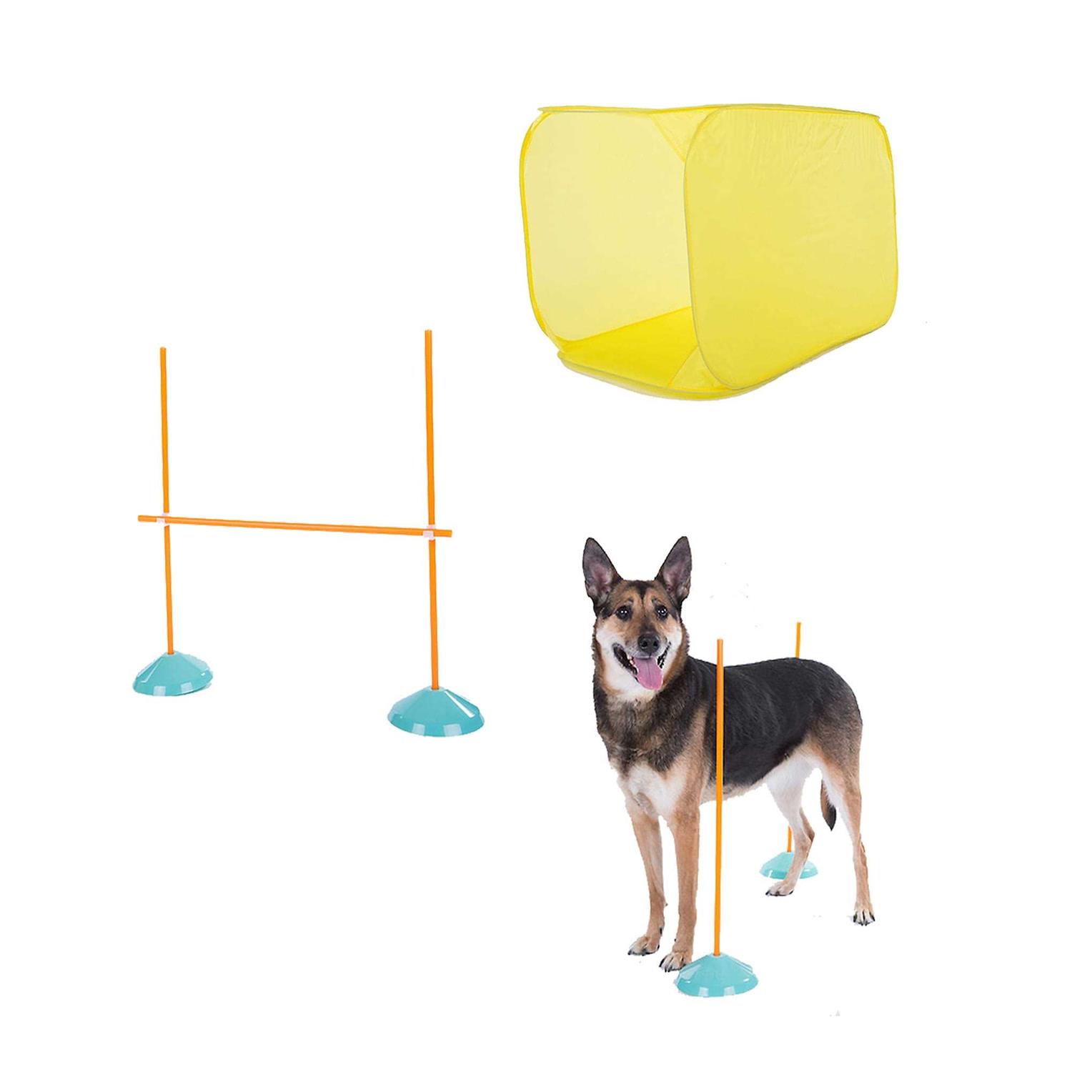 Outward Hound Indoor Dog Agility Kit - Nail Gallerys