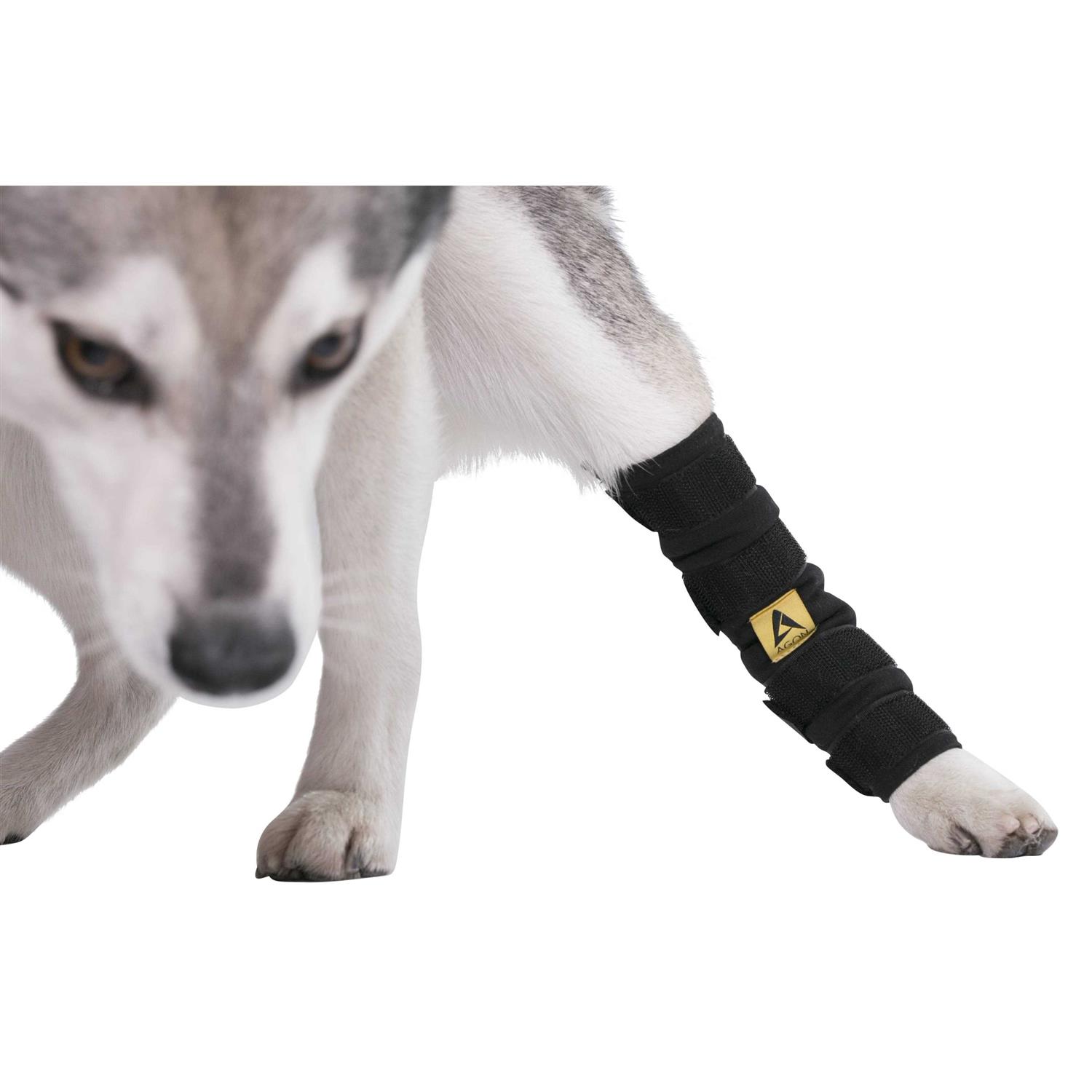 Agon canine Dog Hock Brace Rear Leg Joint Wrap Protects Wounds as They Heal, compression Wrap, Heals and Prevents Injuries and Sprains Helps - Nail Gallerys