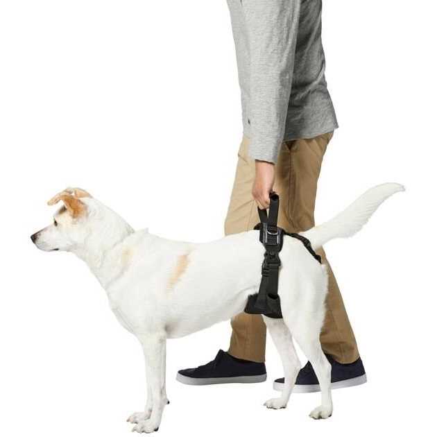 Frisco Rear Lift Handicapped Support Dog Harness - Nail Gallerys
