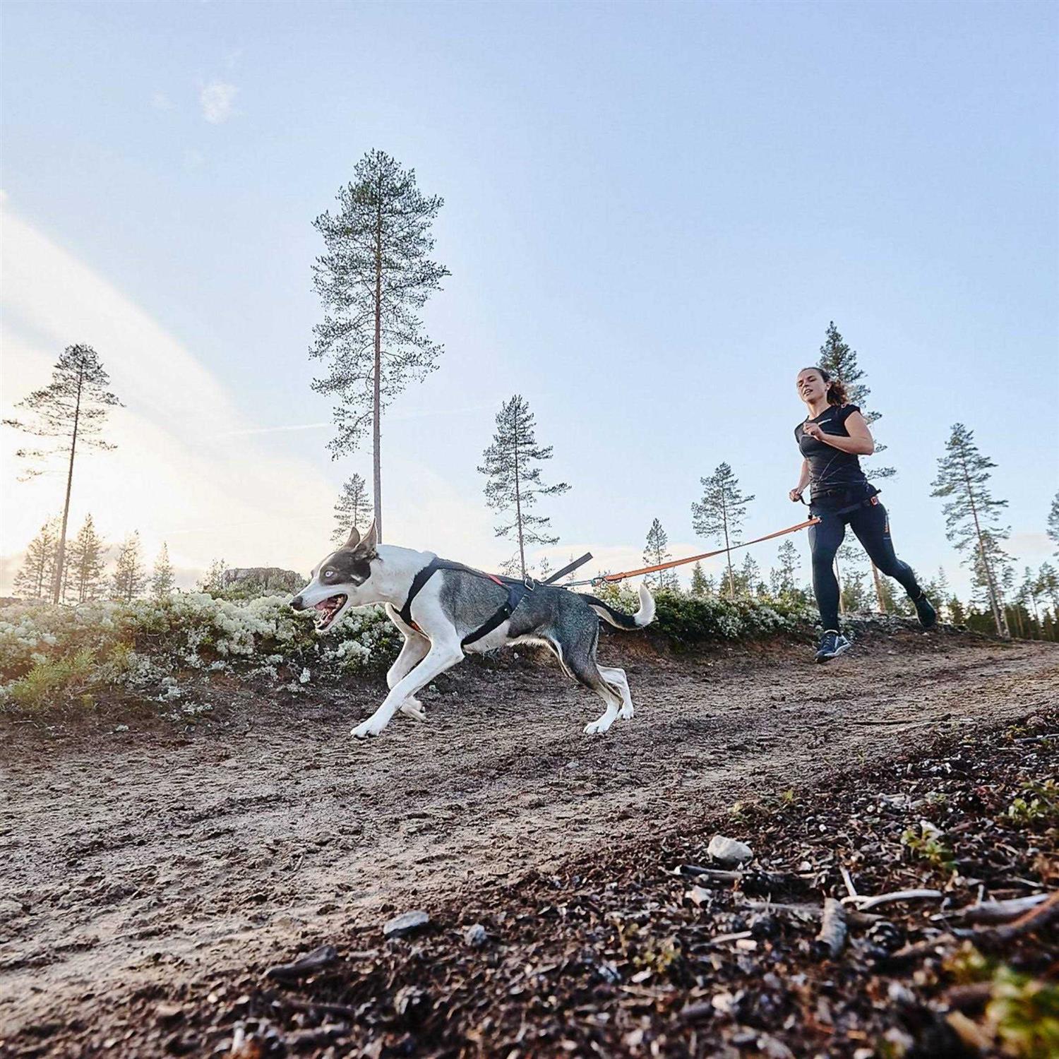 Non-Stop Dogwear Freemotion Harness / Size - Nail Gallerys