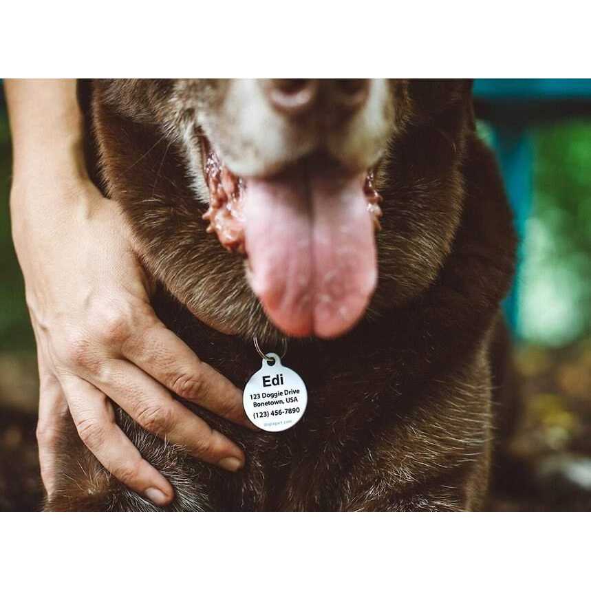 Dog Tag Art Microchip Alert Personalized Dog & Cat ID Tag - Nail Gallerys