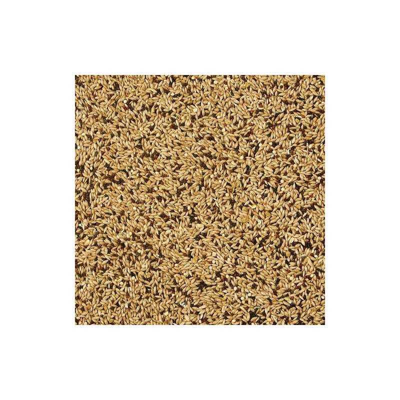 Kaytee Supreme Canary Finch Food - Nail Gallerys