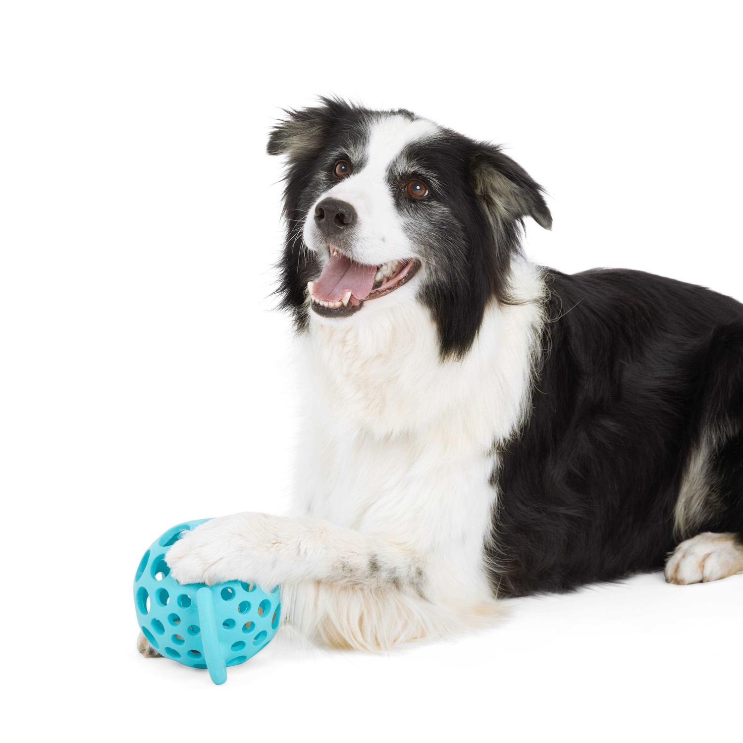 Leaps & Bounds Cage Ball with Handle Dog Toy - Nail Gallerys